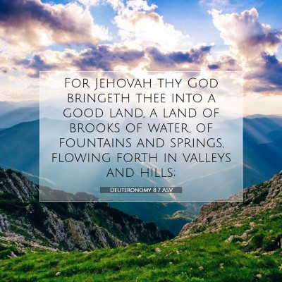 Picture 07 - Deuteronomy 8:7 ASV - For Jehovah thy God bringeth thee into a good - Bible Verse Picture