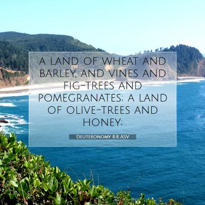 Picture 07 - Deuteronomy 8:8 ASV - a land of wheat and barley, and vines and - Bible Verse Picture