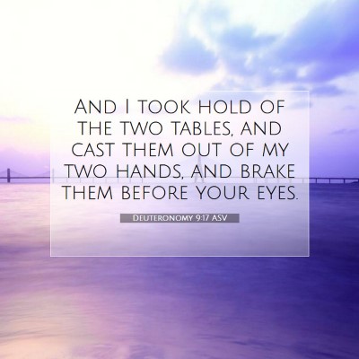 Picture 07 - Deuteronomy 9:17 ASV - And I took hold of the two tables, and cast them - Bible Verse Picture