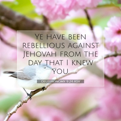 Picture 07 - Deuteronomy 9:24 ASV - Ye have been rebellious against Jehovah from the - Bible Verse Picture