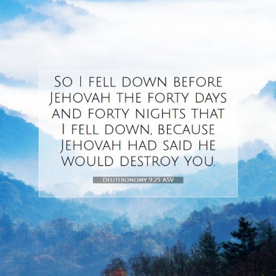 Picture 07 - Deuteronomy 9:25 ASV - So I fell down before Jehovah the forty days and - Bible Verse Picture