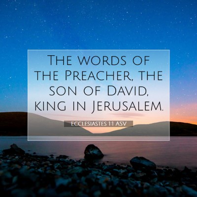 Picture 07 - Ecclesiastes 1:1 ASV - The words of the Preacher, the son of David, king - Bible Verse Picture