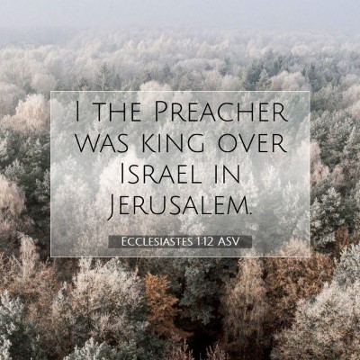 Picture 07 - Ecclesiastes 1:12 ASV - I the Preacher was king over Israel in - Bible Verse Picture