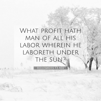Picture 07 - Ecclesiastes 1:3 ASV - What profit hath man of all his labor wherein he - Bible Verse Picture