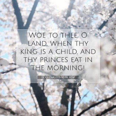 Picture 07 - Ecclesiastes 10:16 ASV - Woe to thee, O land, when thy king is a child, - Bible Verse Picture