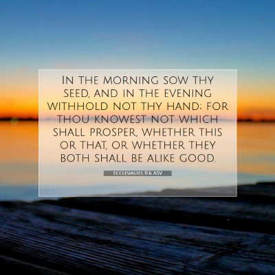 Picture 07 - Ecclesiastes 11:6 ASV - In the morning sow thy seed, and in the evening - Bible Verse Picture