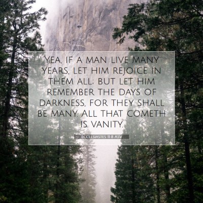 Picture 07 - Ecclesiastes 11:8 ASV - Yea, if a man live many years, let him rejoice in - Bible Verse Picture