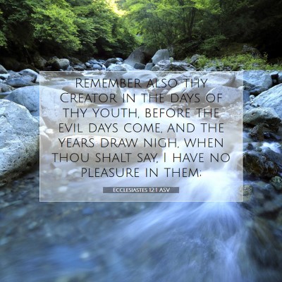 Picture 07 - Ecclesiastes 12:1 ASV - Remember also thy Creator in the days of thy - Bible Verse Picture