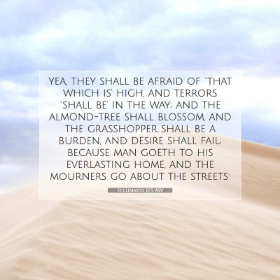 Picture 07 - Ecclesiastes 12:5 ASV - yea, they shall be afraid of `that which is' - Bible Verse Picture