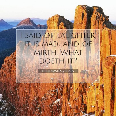 Picture 07 - Ecclesiastes 2:2 ASV - I said of laughter, It is mad; and of mirth, What - Bible Verse Picture