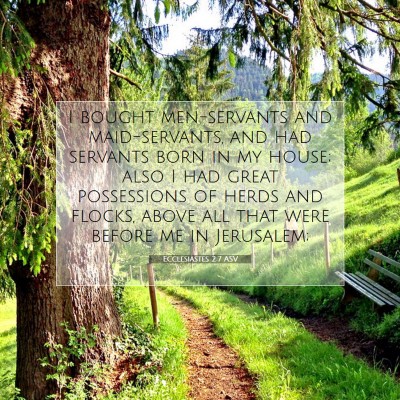 Picture 07 - Ecclesiastes 2:7 ASV - I bought men-servants and maid-servants, and had - Bible Verse Picture