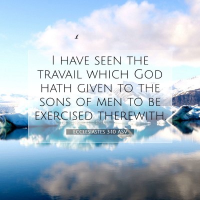 Picture 07 - Ecclesiastes 3:10 ASV - I have seen the travail which God hath given to - Bible Verse Picture