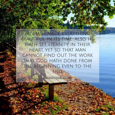 Picture 07 - Ecclesiastes 3:11 ASV - He hath made everything beautiful in its time: - Bible Verse Picture