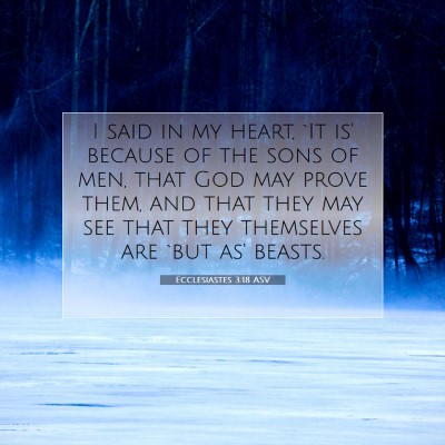 Picture 07 - Ecclesiastes 3:18 ASV - I said in my heart, `It is' because of the sons - Bible Verse Picture