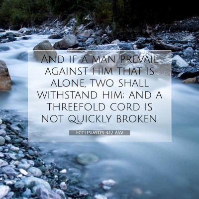 Picture 07 - Ecclesiastes 4:12 ASV - And if a man prevail against him that is alone, - Bible Verse Picture