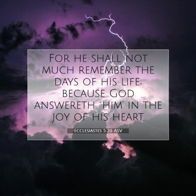 Picture 07 - Ecclesiastes 5:20 ASV - For he shall not much remember the days of his - Bible Verse Picture