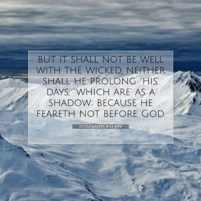 Picture 07 - Ecclesiastes 8:13 ASV - but it shall not be well with the wicked, neither - Bible Verse Picture