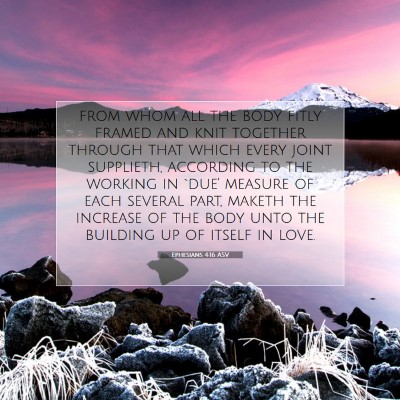 Picture 07 - Ephesians 4:16 ASV - from whom all the body fitly framed and knit - Bible Verse Picture