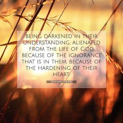 Picture 07 - Ephesians 4:18 ASV - being darkened in their understanding, alienated - Bible Verse Picture