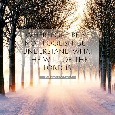 Picture 07 - Ephesians 5:17 ASV - Wherefore be ye not foolish, but understand what - Bible Verse Picture