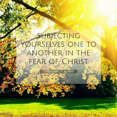 Picture 07 - Ephesians 5:21 ASV - subjecting yourselves one to another in the fear - Bible Verse Picture