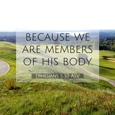Picture 07 - Ephesians 5:30 ASV - because we are members of his - Bible Verse Picture