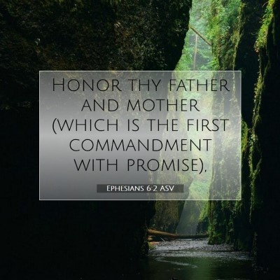 Picture 07 - Ephesians 6:2 ASV - Honor thy father and mother (which is the first - Bible Verse Picture