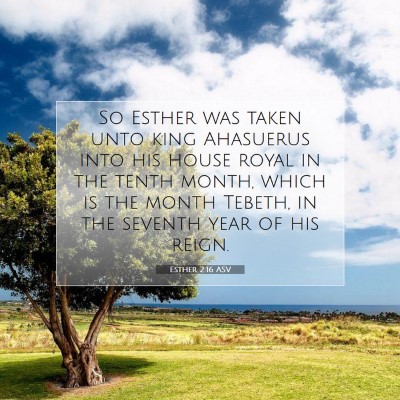 Picture 07 - Esther 2:16 ASV - So Esther was taken unto king Ahasuerus into his - Bible Verse Picture