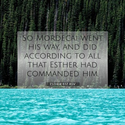 Picture 07 - Esther 4:17 ASV - So Mordecai went his way, and did according to - Bible Verse Picture