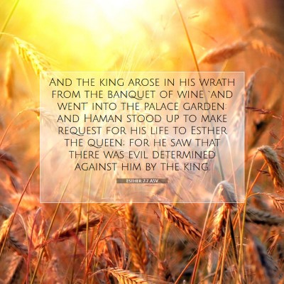Picture 07 - Esther 7:7 ASV - And the king arose in his wrath from the banquet - Bible Verse Picture
