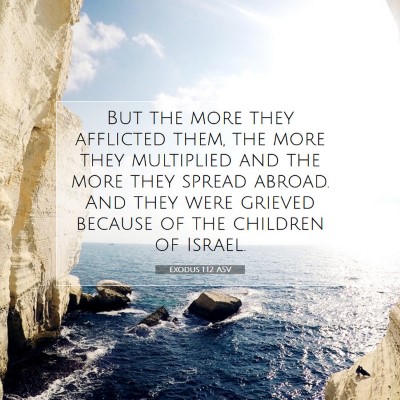 Picture 07 - Exodus 1:12 ASV - But the more they afflicted them, the more they - Bible Verse Picture
