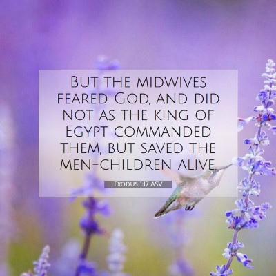 Picture 07 - Exodus 1:17 ASV - But the midwives feared God, and did not as the - Bible Verse Picture