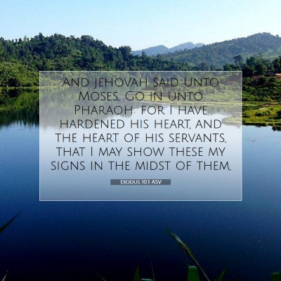Picture 07 - Exodus 10:1 ASV - And Jehovah said unto Moses, Go in unto Pharaoh: - Bible Verse Picture
