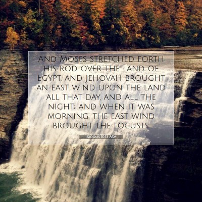 Picture 07 - Exodus 10:13 ASV - And Moses stretched forth his rod over the land - Bible Verse Picture