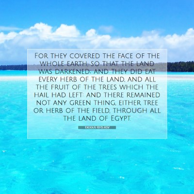 Picture 07 - Exodus 10:15 ASV - For they covered the face of the whole earth, so - Bible Verse Picture
