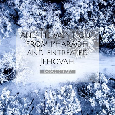 Picture 07 - Exodus 10:18 ASV - And he went out from Pharaoh, and entreated - Bible Verse Picture