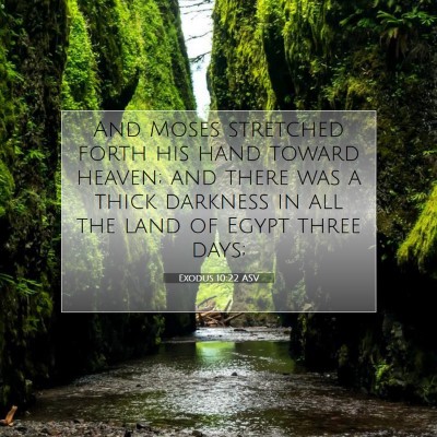 Picture 07 - Exodus 10:22 ASV - And Moses stretched forth his hand toward heaven; - Bible Verse Picture