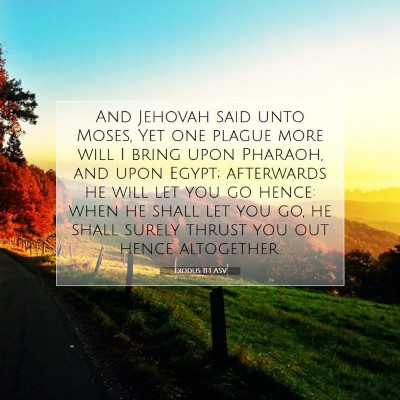 Picture 07 - Exodus 11:1 ASV - And Jehovah said unto Moses, Yet one plague more - Bible Verse Picture