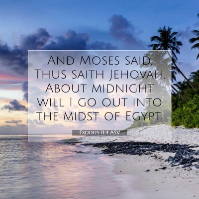 Picture 07 - Exodus 11:4 ASV - And Moses said, Thus saith Jehovah, About - Bible Verse Picture