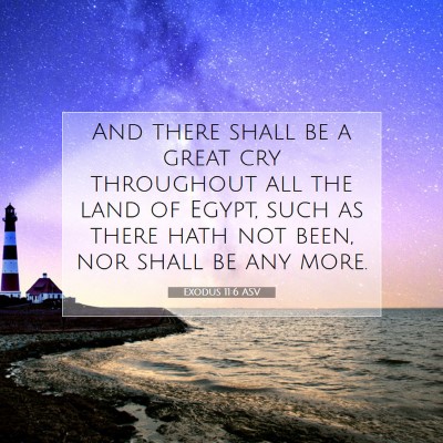 Picture 07 - Exodus 11:6 ASV - And there shall be a great cry throughout all the - Bible Verse Picture