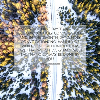 Picture 07 - Exodus 12:16 ASV - And in the first day there shall be to you a holy - Bible Verse Picture