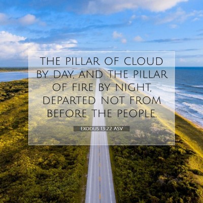 Picture 07 - Exodus 13:22 ASV - the pillar of cloud by day, and the pillar of - Bible Verse Picture