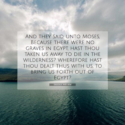 Picture 07 - Exodus 14:11 ASV - And they said unto Moses, Because there were no - Bible Verse Picture