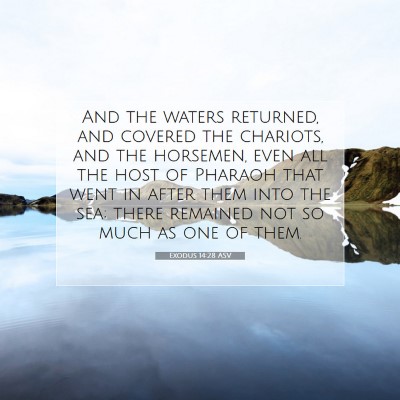 Picture 07 - Exodus 14:28 ASV - And the waters returned, and covered the - Bible Verse Picture