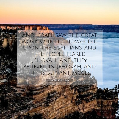 Picture 07 - Exodus 14:31 ASV - And Israel saw the great work which Jehovah did - Bible Verse Picture