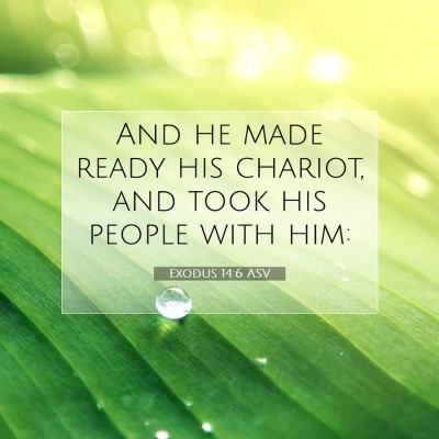 Picture 07 - Exodus 14:6 ASV - And he made ready his chariot, and took his - Bible Verse Picture