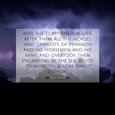 Picture 07 - Exodus 14:9 ASV - And the Egyptians pursued after them, all the - Bible Verse Picture