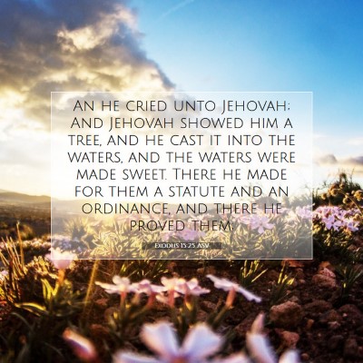 Picture 07 - Exodus 15:25 ASV - An he cried unto Jehovah; And Jehovah showed him - Bible Verse Picture