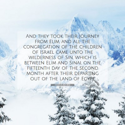 Picture 07 - Exodus 16:1 ASV - And they took their journey from Elim, and all - Bible Verse Picture