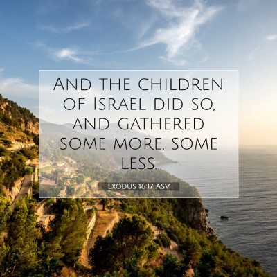 Picture 07 - Exodus 16:17 ASV - And the children of Israel did so, and gathered - Bible Verse Picture